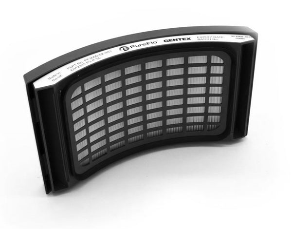 PureFlo PF3000 Replacement P3 Filter