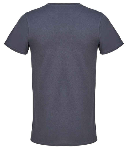 04728 Grey Back