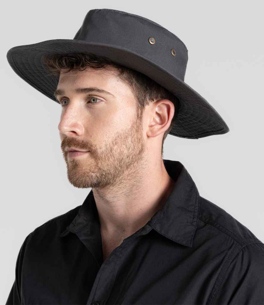 CR601 Carbon Grey Model