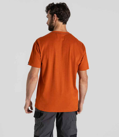 CR702 Potters Clay Model