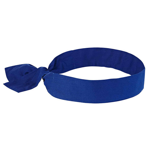 Ergodyne Evaporative Cooling Bandana