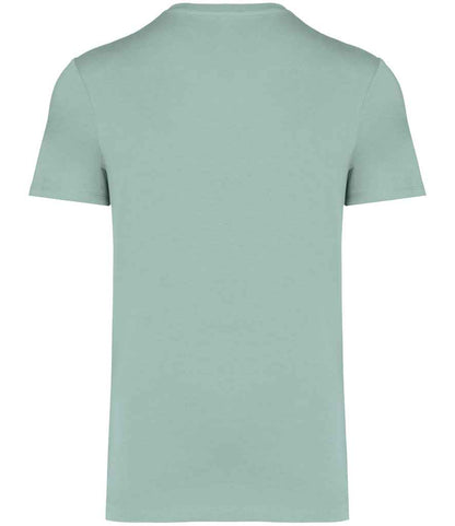 NS305 Jade Green Back