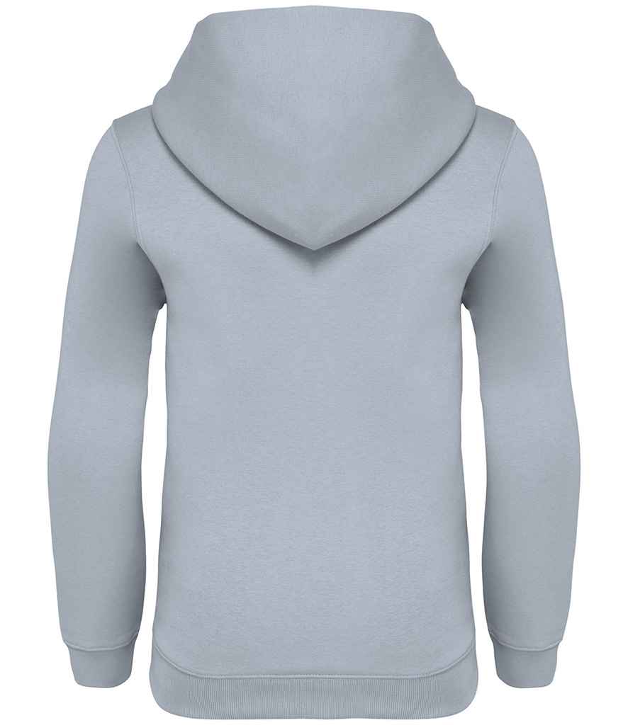 NS404 Aquamarine Back