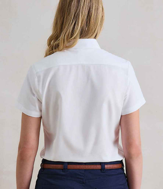 PR386 White Model