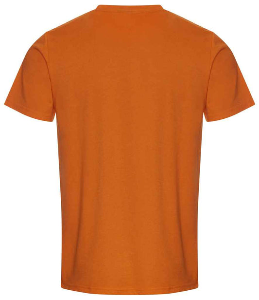 RX151 Orange Back