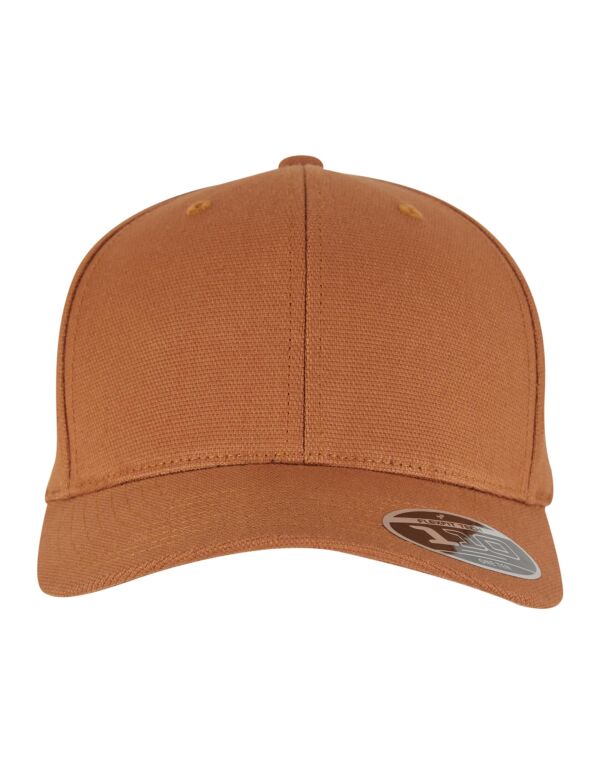 Flexfit 110 Curved Snapback